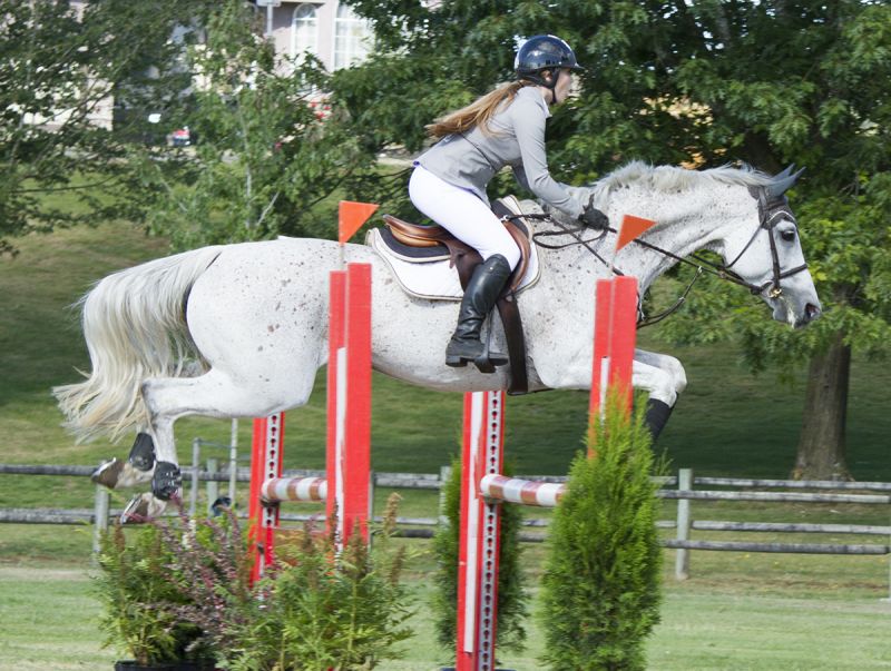 2016 BC Summer Games Equestrian Sport BC Summer Games Horse Council BC 2016 BC Summer Games Equestrian Sport BC Summer Games Horse Council BC