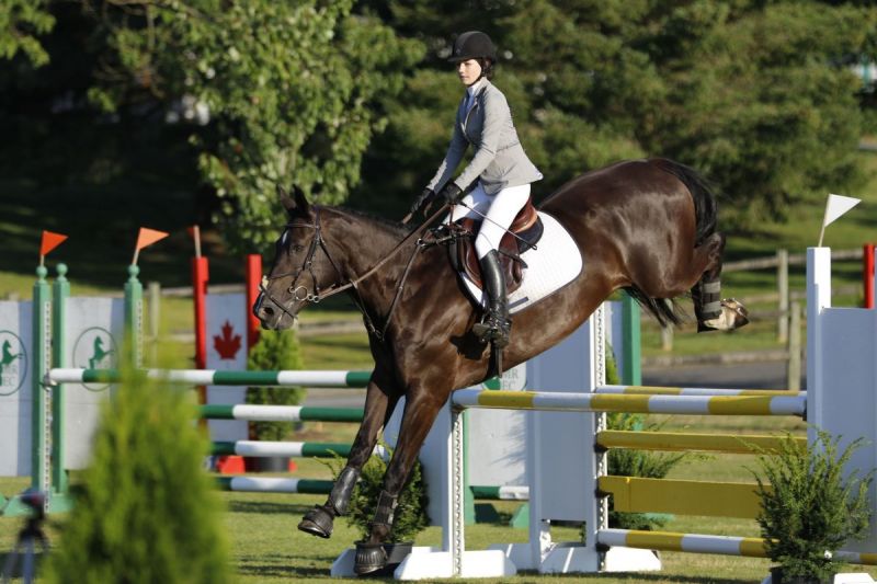 2016 BC Summer Games Equestrian Sport BC Summer Games Horse Council BC 2016 BC Summer Games Equestrian Sport BC Summer Games Horse Council BC