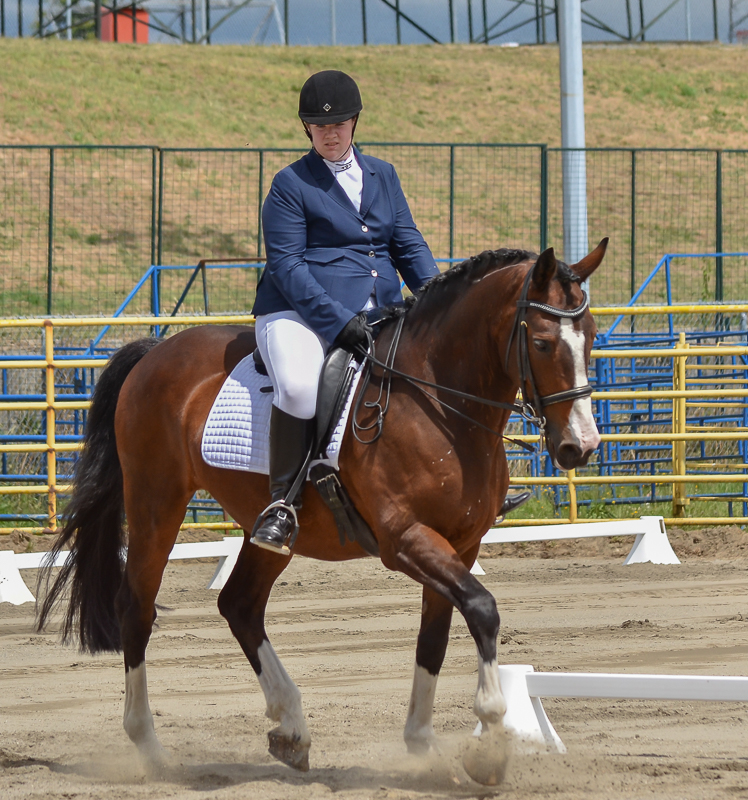 2016 BC Summer Games Equestrian Sport BC Summer Games Horse Council BC 2016 BC Summer Games Equestrian Sport BC Summer Games Horse Council BC