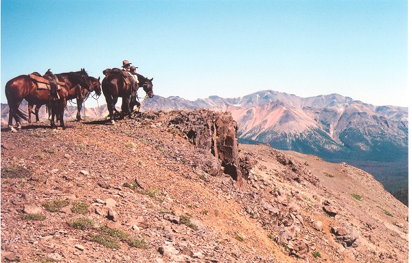Dr daryl drew, bella capoose, tweedsmuir park horse, horse riding rainbow mountains, horse tweedsmuir park, building horse trust, horse rider trust