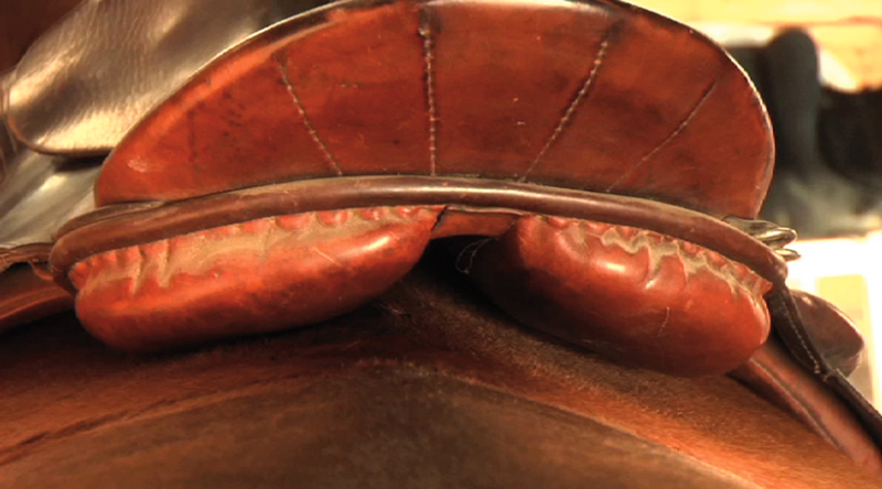 Jochen Schleese, saddle support, horse saddle fitting, horse dominant side, symmetrical gullet plate Jochen Schleese, saddle support, horse saddle fitting, horse dominant side, symmetrical gullet plate