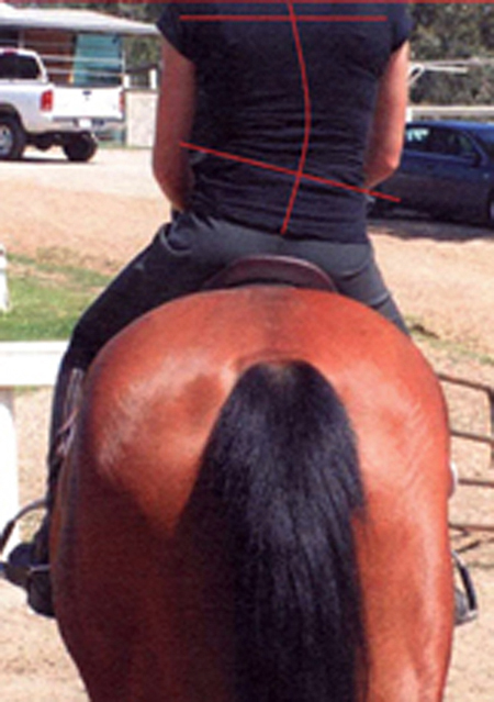 Jochen Schleese, saddle support, horse saddle fitting, horse dominant side, symmetrical gullet plate Jochen Schleese, saddle support, horse saddle fitting, horse dominant side, symmetrical gullet plate