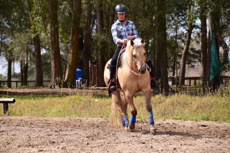 Paralympian Lauren Barwick, disabled horse rider, canadian paralympic rider, fei para-equestrian, para-dressage lauren barwick