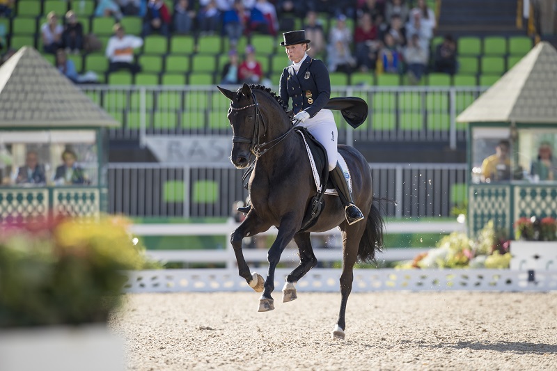 Germany Olympic Dressage Gold Olympic Equestrian Park Olympic Dressage Olympic Grand Prix Edward Gal Diederik van Silfhout Hans Peter Minderhoud Dorothee Schneider Steffen Peters Fiona Bigwood Laura Graves, USA