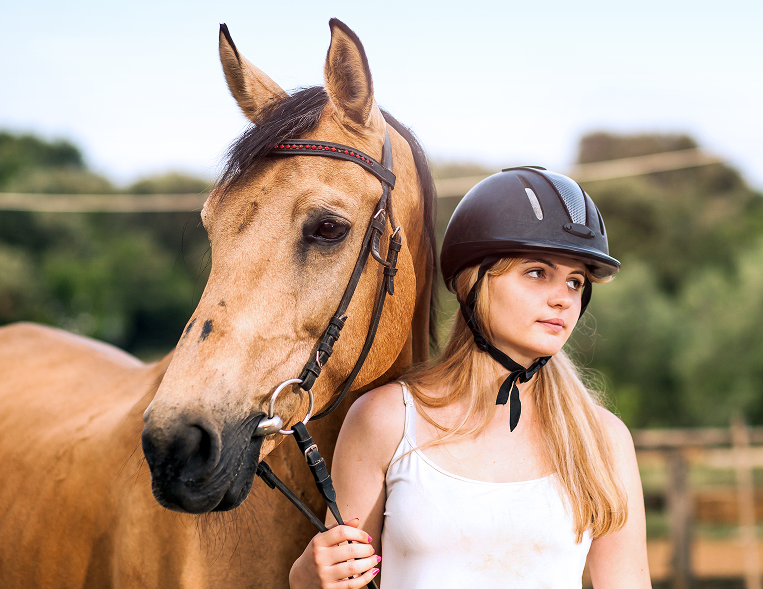 horse ownership challenges, cost of horse ownership, time management horses, emotional stress horse owners, equestrian lifestyle, horse owner support, equine responsibilities