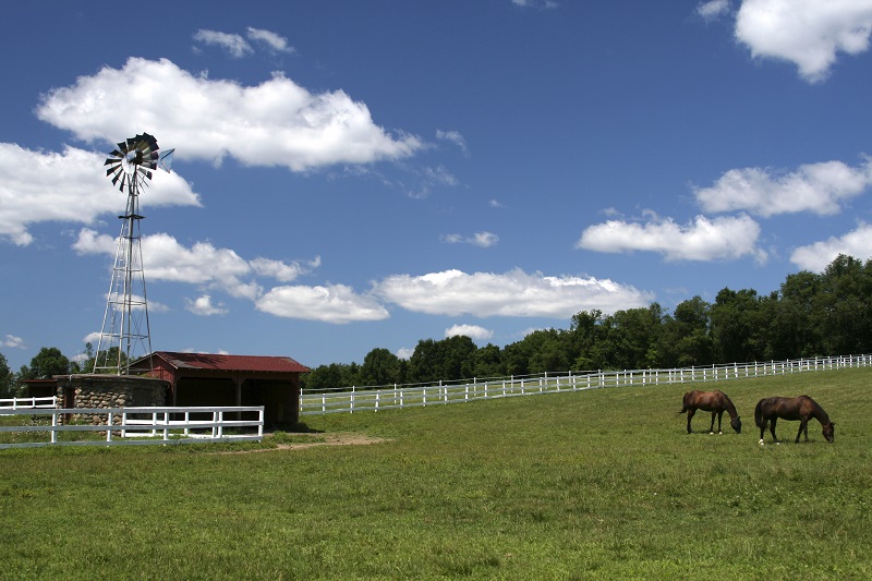 Horse Run-In Shed equine, horse shelter equine, horse property drainage