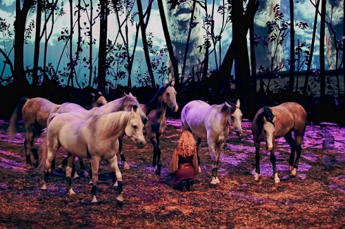 Odysseo Why I Wanna Win Cavalia Odysseo contest