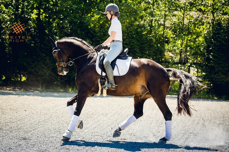 indoor riding arena, outdoor riding arena, indoor arena footing outdoor, conterra industries, lakeshore sand co, sand footing, woodchip footing