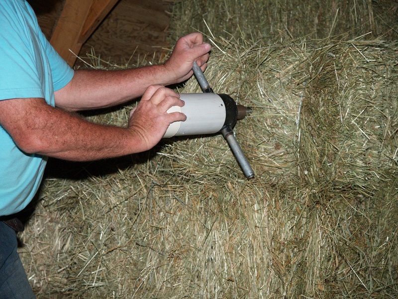 horse hay, horse hay bales, analyzing horse hay, taking a horse hay sample, horse hay analysis report