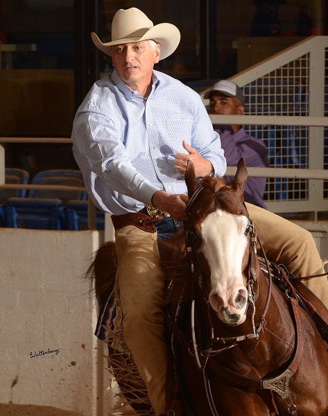 Cactus Reining Classic, Horse Show Global, westworld reining, arizona reining, NRHA Show of the Year, Shane Brown NRHA Open, Martin Padilla, He’s Smart With A Gun, Mark Blake Plum Gotta Gun, Jennifer Greenleaf