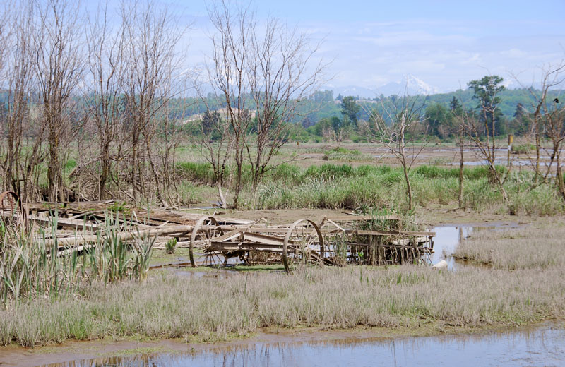 hazards horse farm, hazards equine farm, emergency plan horse farm, prevent barn fire, prevent horse injury
