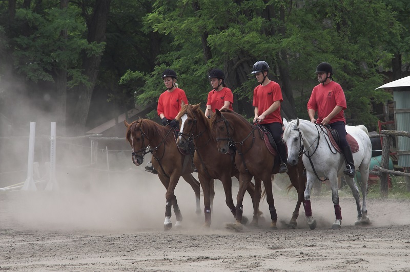 indoor riding arena, outdoor riding arena, indoor arena footing outdoor, conterra industries, lakeshore sand co, sand footing, woodchip footing