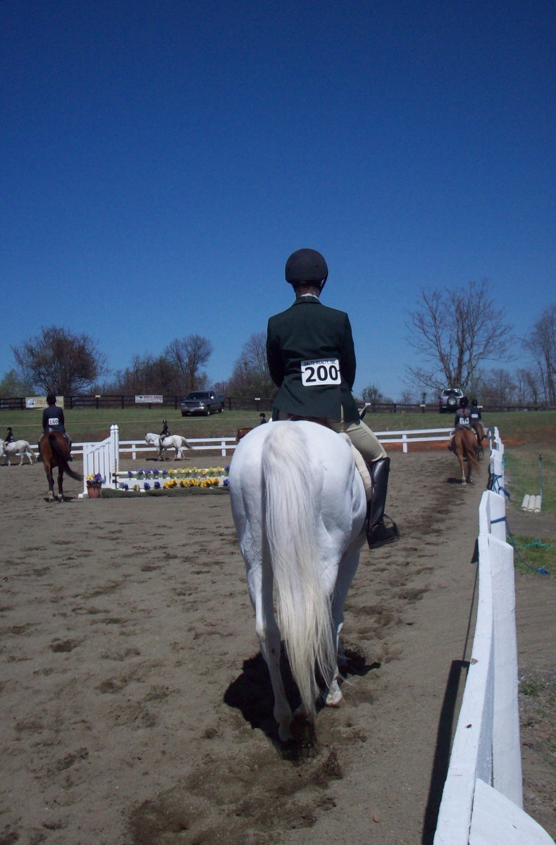 horse riding jealousy, overcoming horse rider jealousy, horse rider psychology