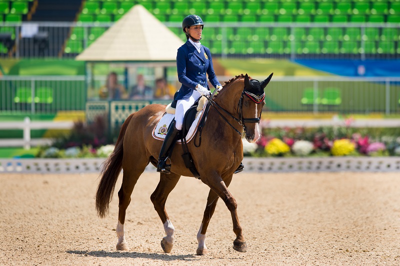 Rio 2016 Paralympics equestrian, Para-dressage Michèle George Sophie Christiansen Athene Lindebjerg Anne Dunham Sergio Oliva