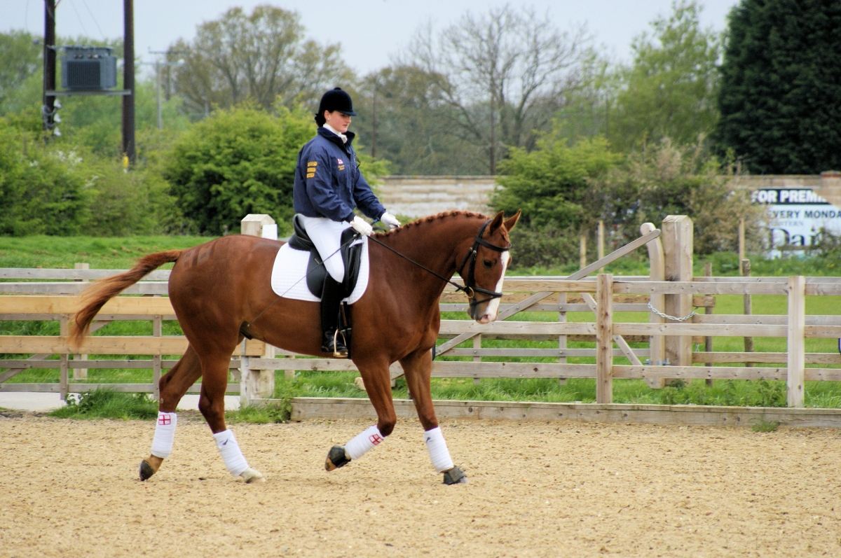 Comfortable in the Schooling Area rather than Competing