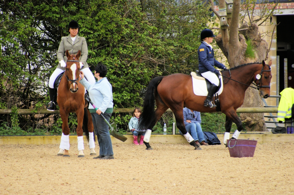Lindsay Grice, Horse Show Safety, equine show safety, horse safety
