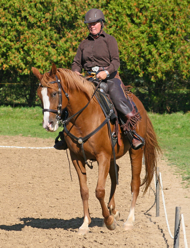Western Dressage, Elaine Ward, Margaret Evans, Western Style Dressage Association of Canada, WSDAC, Jec A. Ballou, Elaine Ward, Trish Hyatt, dressage, new equestrian sport