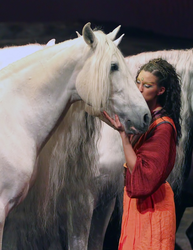 Odysseo Cavalia horses odysseo vancouver cavalia ontario odysseo cirque du soleil
