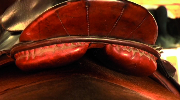 horse misbehaving, horse bucking, girthiness, poorly fitting saddle, jochen schleese, Saddlefit 4 Life, Saddle Fitting, equien ergonomist,  Unwanted behaviour may be caused by a poorly fitting saddle