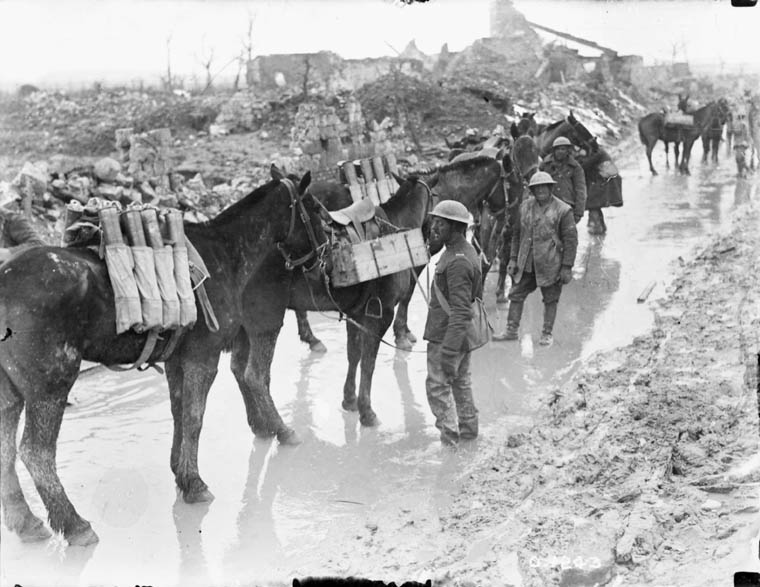 Horses in war, war horse, horses world war 1, horses world war 2, dumb heroes, Riding into War, The Horse in War, my horse warrier, the war illustrated