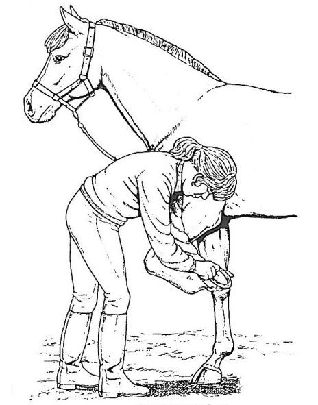 hoof picking