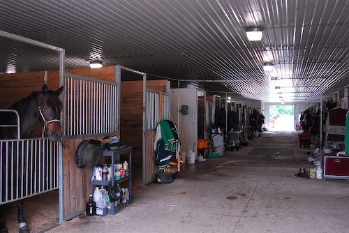 Classy Lane Stables Fire, Classy Lane Fire, Classy Lane Barn Fire, Barn Fire Ontario, Barn Fire Guelph, Classy Lane Guelph, Apprentice Hanover