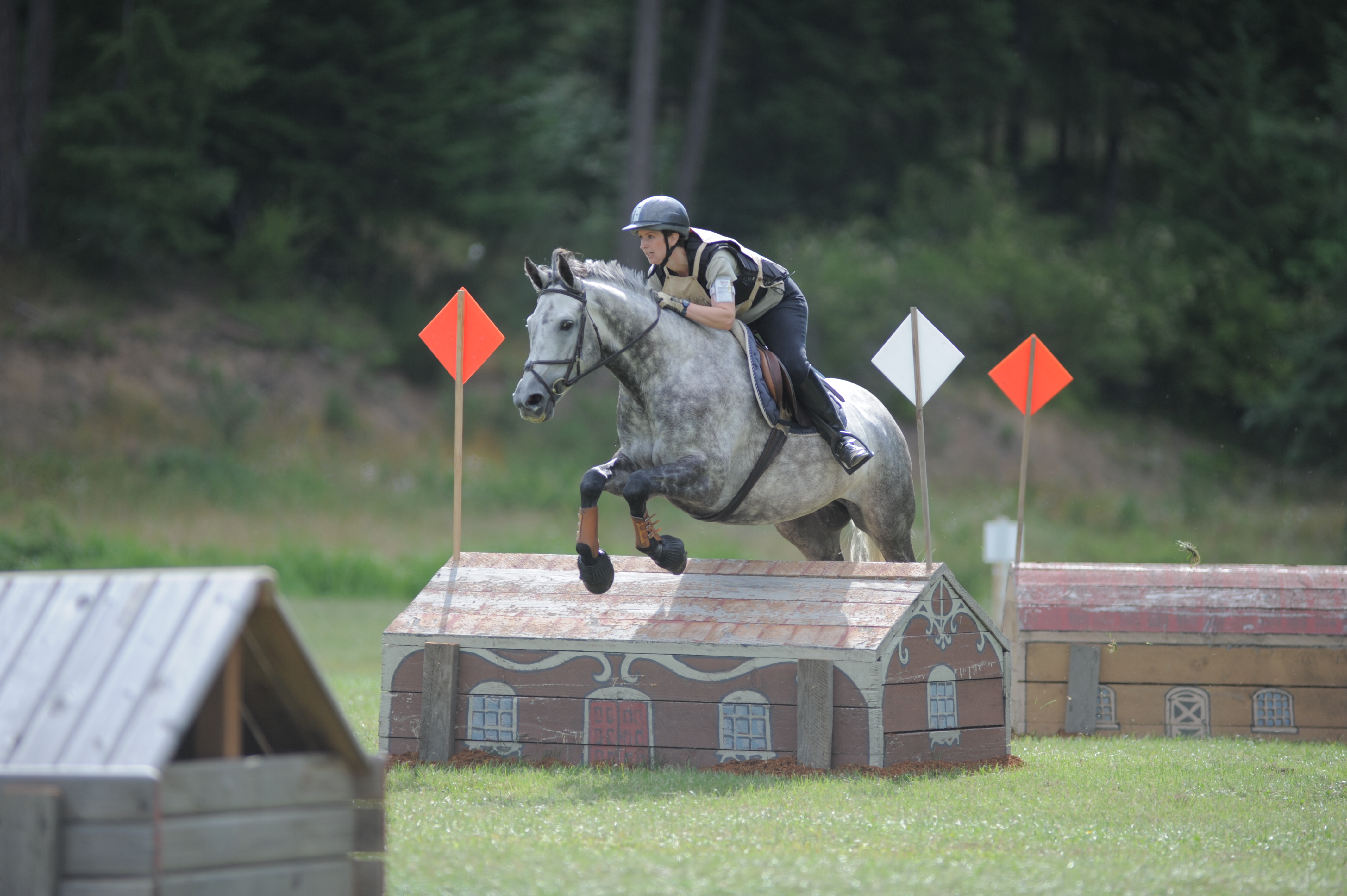 How to Walk a Cross Country Course | Horse Journals