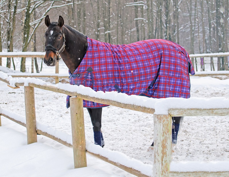 Waterproof and breathable horse blanket, winter horse care blanket