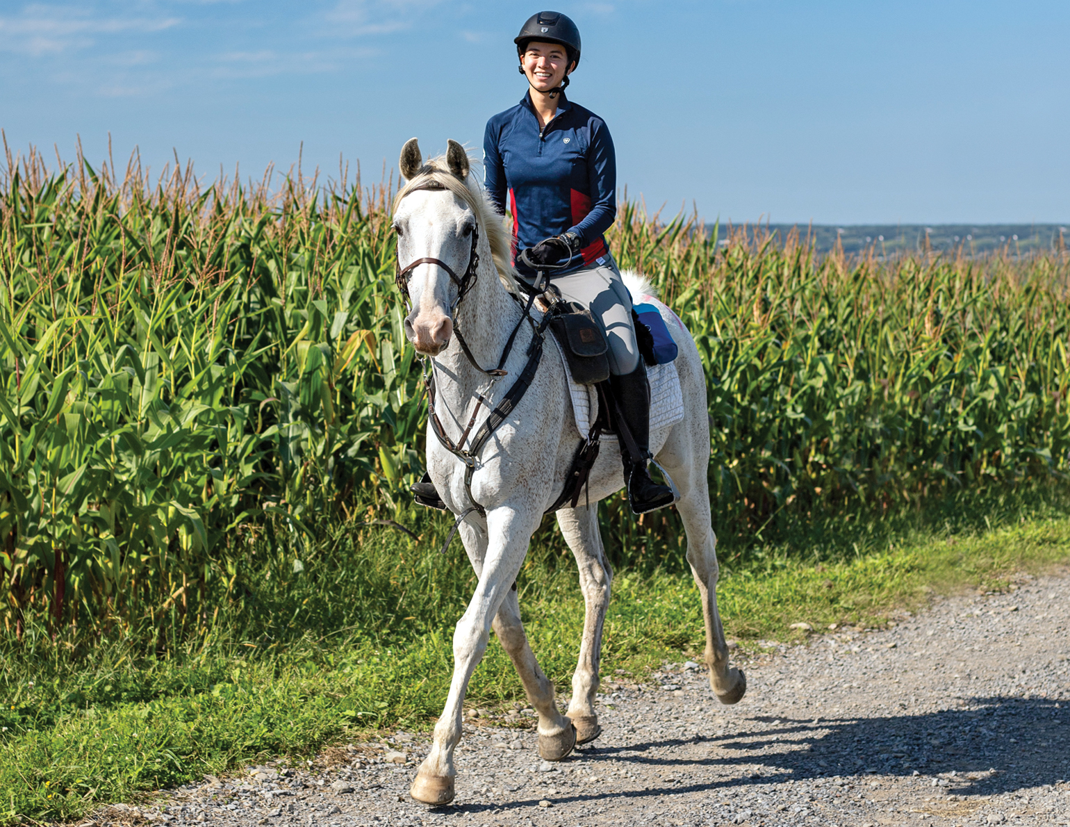 Horse Gear Canada - Canada's go to store for distance and trail riders
