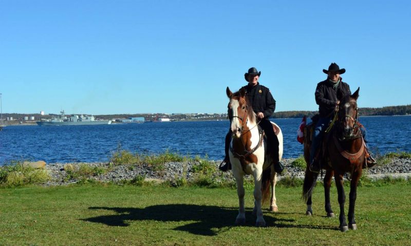 horse Ride Across Canada canadian Forces veterans ride paul nichols terry nichols pen y bryn farm equine facility veterans horse community fundraiser remembrance day horse horse Ride Across Canada canadian Forces veterans ride paul nichols terry nichols pen y bryn farm equine facility veterans horse community fundraiser remembrance day horse
