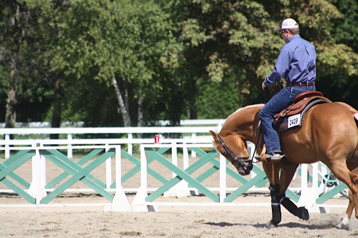 reining horse training with Matthew Hudson