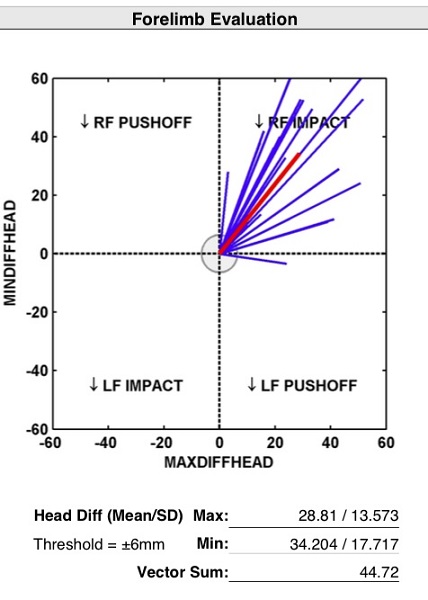 Equine Lameness Evaluation, Dr. Crystal Lee, equine disorder, horse lameness, examining horse, horse flexion test