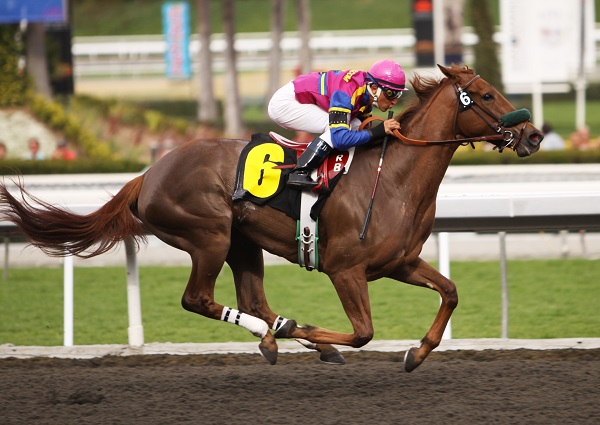 ottb, off the track thoroughbred, jessica phoenix, jessica phoenix off the track, exploring off the track, exponential off the track, world equestrian games, equine guelph, barbara sheridan