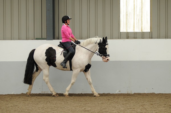winter horse, riding in winter, training in winter, conditioning horse, keep horse fit winter, horse stretches, carrot stretch