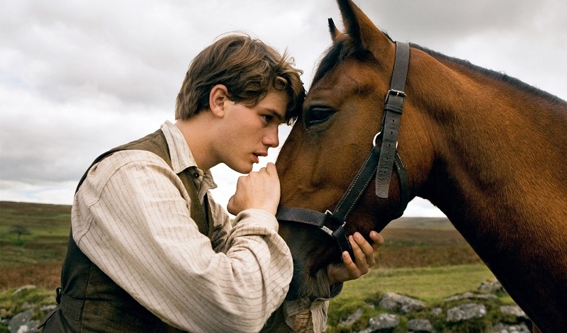 horses in the war, remembering war horses, steven spielberg horse, horses in history, world war horse