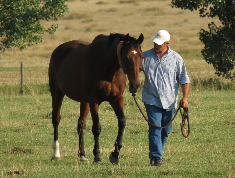 ptsd, Christian McEachern post-traumatic stress disorder Bear Valley rescue, equine backcountry horse, equihealth, horse first aid canada, equine first aid 
