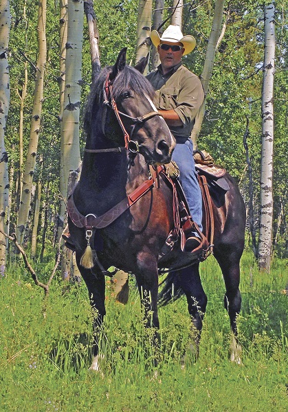 ptsd, Christian McEachern post-traumatic stress disorder Bear Valley rescue ptsd, Christian McEachern post-traumatic stress disorder Bear Valley rescue, equine backcountry horse, equihealth, horse first aid canada, equine first aid ptsd, Christian McEachern post-traumatic stress disorder Bear Valley rescue, equine backcountry horse, equihealth, horse first aid canada, equine first aid 