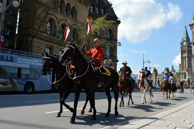 horse Ride Across Canada canadian Forces veterans ride paul nichols terry nichols pen y bryn farm equine facility veterans horse community fundraiser remembrance day horse horse Ride Across Canada canadian Forces veterans ride paul nichols terry nichols pen y bryn farm equine facility veterans horse community fundraiser remembrance day horse