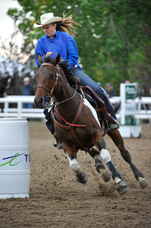lori k. warren, fit horse, horse fitness, horse conditioning, horse schooling, equine conditioning, equine schooling, equine fitness, fit equine, equine interval, equine gymnastics, horse gymnastics, horse strength, equine strength