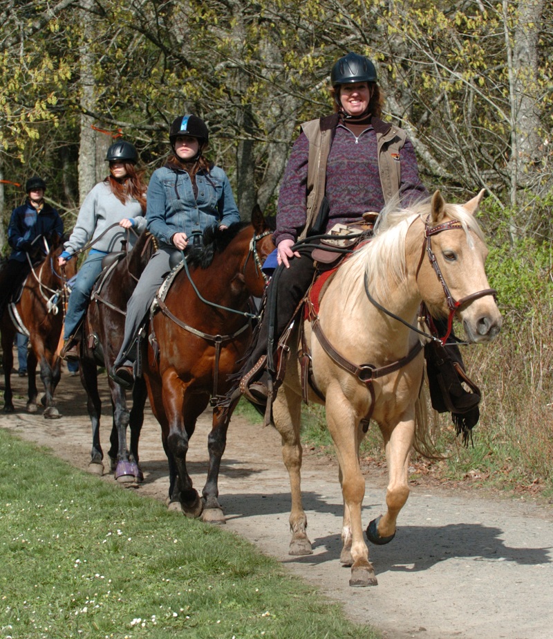 Canadian equine economy, Canadian horse economy, 2010 Canadian Equine Industry Profile Study, Canada’s Horse People, Canadian horse economy stats, Economic Impact horse industry Canada, Economic Climate horse industry Canada Canadian equine economy, Canadian horse economy, 2010 Canadian Equine Industry Profile Study, Canada’s Horse People, Canadian horse economy stats, Economic Impact horse industry Canada, Economic Climate horse industry Canada