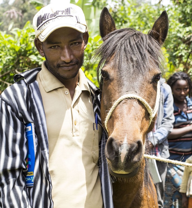buy a donkey a drink,  brooke usa, mules 3rd world donkeys, third world horses, good charities, charities for animals