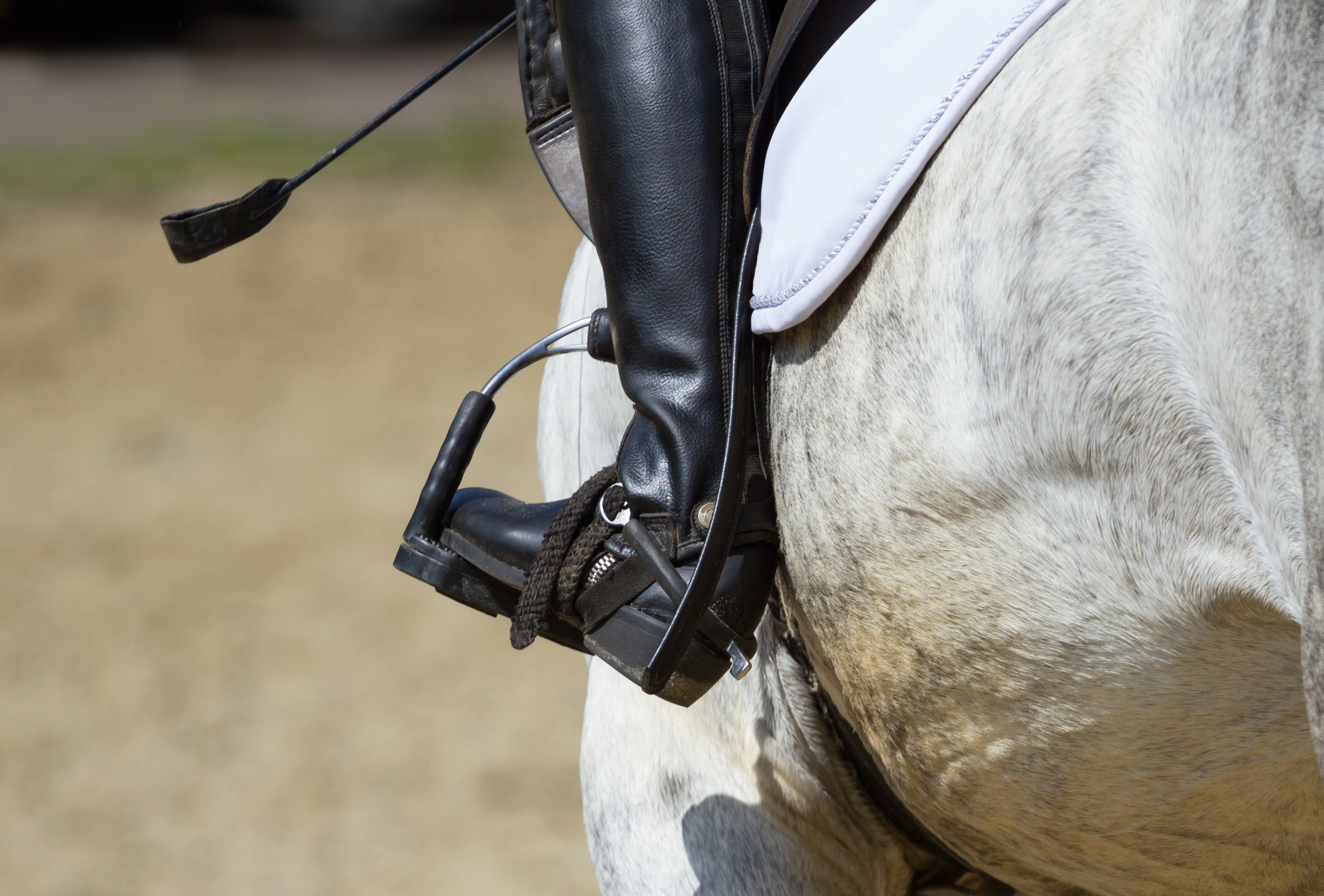 should i use a riding whip?