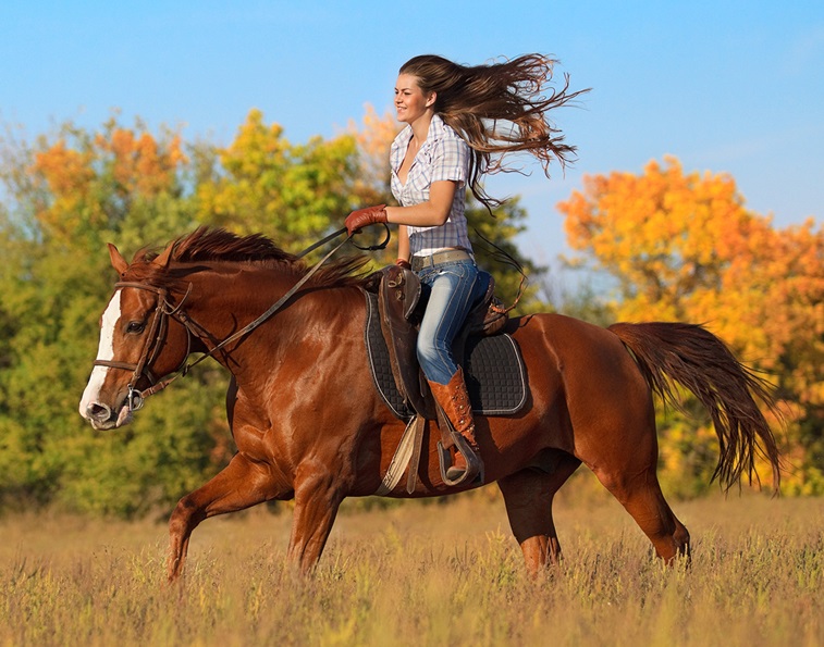 do you wear a horse helmet, should i wear a horse helmet, riding safety, horse riding safety, best horse helmets