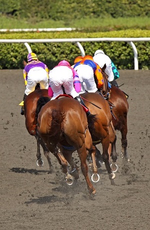 slipstreaming, reducing drag, horse racing, drag horse racing, Professor Franz “Tino” Fuss.