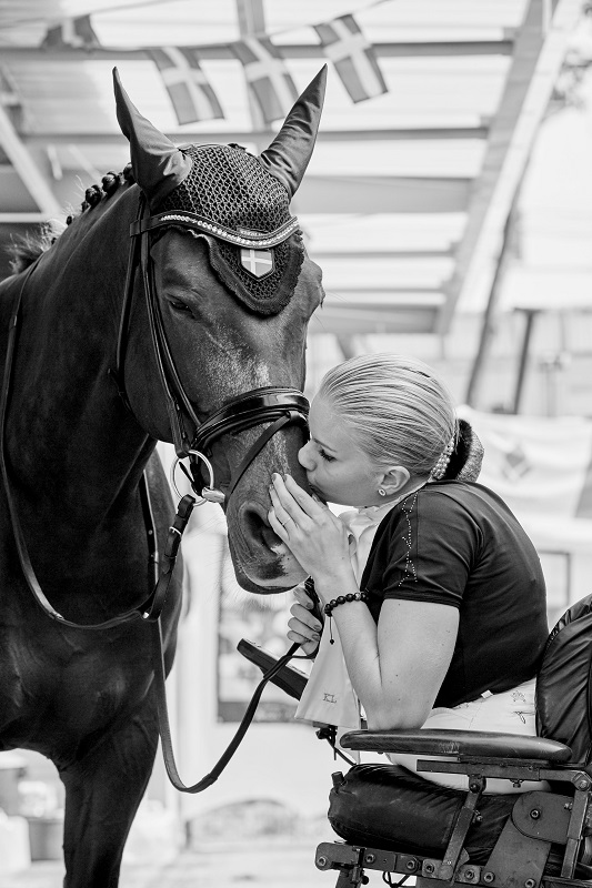FEI Rio 2016 Paralympic Games Olympic negative test clean Ingmar De Vos