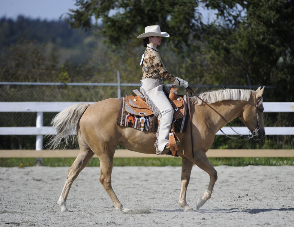 Basics of Western Pleasure