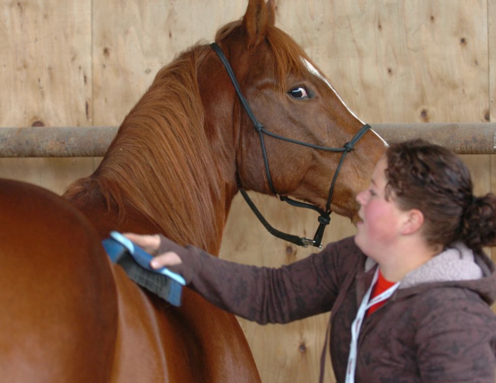 Grooming Basics