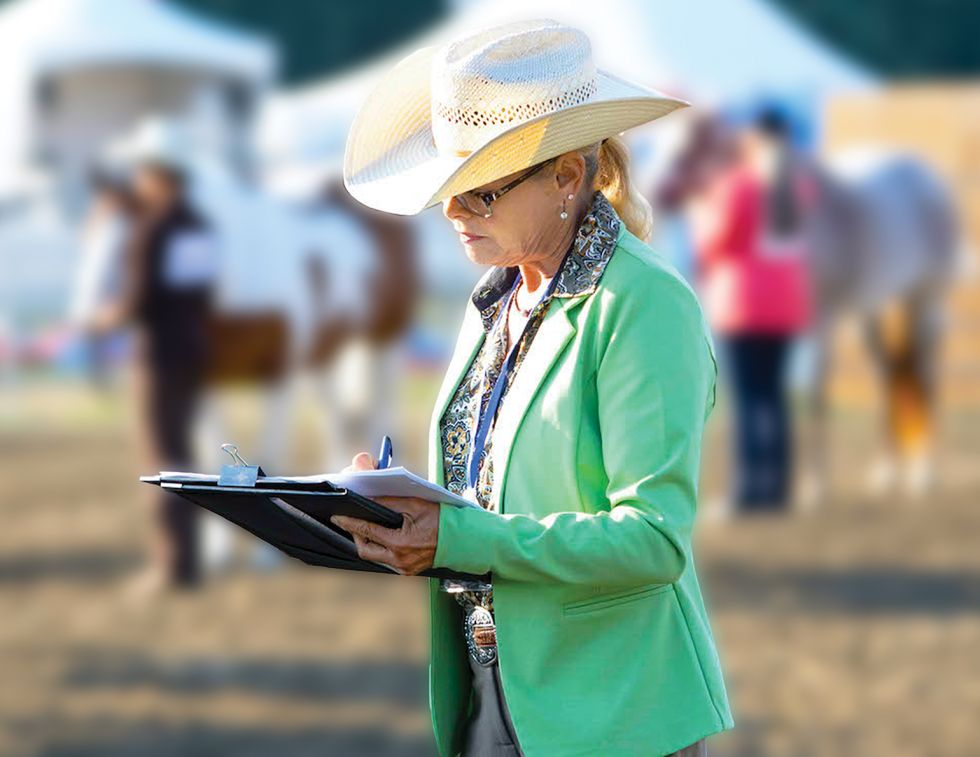 horse conformation, horse movement analysis, equine judging, horseman’s eye, horse training Canada, equine biomechanics, horse soundness, judging horses Canada, equine body language, horse gait analysis, horse selection tips, equestrian coaching Canada, horse show judging, Canadian horse industry, horse performance evaluation