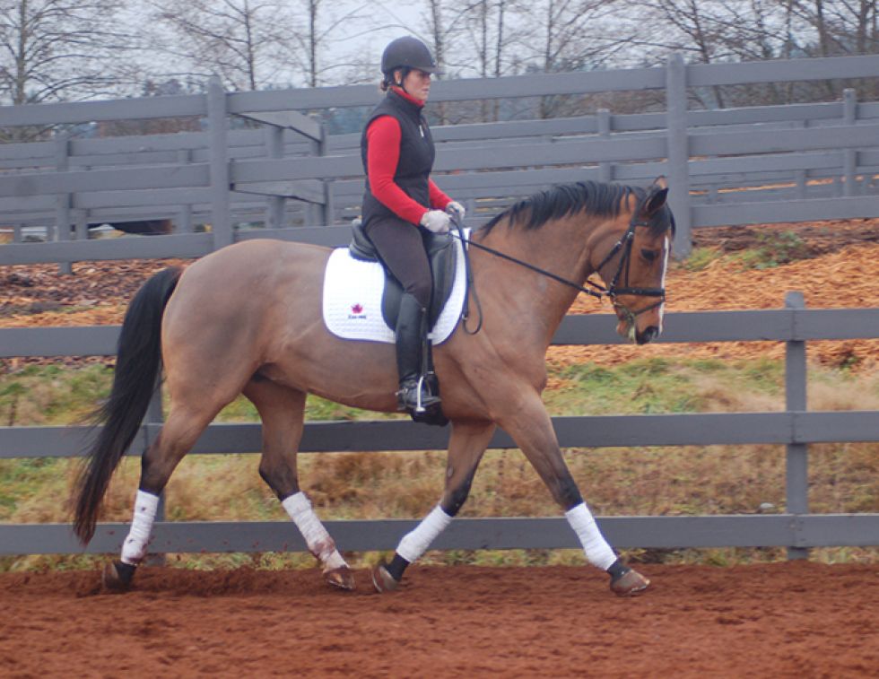 starting out right horse foot, nancy tapley, horse warm-up, Karen brain, horse riding technique, horse training, Shannon Dueck, horse leg yield, equine leg yield, horse leg yield circle, hunter jumper exercises, Leg-Yielding Out Circle