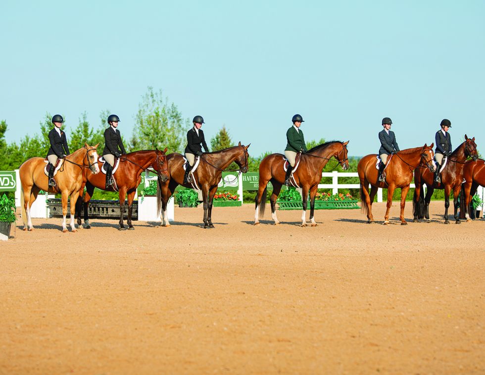 Lindsay Grice, flat class, rail class, horse show flat classes, horse show rail classes, horse show judging, horse show judge, equitation, hunter under saddle, western pleasure, western horsemanship, show hack, pleasure hack, road hack, English equitation, horse show tips, show ring strategy, horse show preparation, horse showing, equestrian competition, equestrian Canada, Canadian horse industry, English riding, Western riding, correct leads, diagonals, self-carriage, horse turnout, show ring etiquette